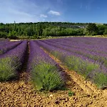 Le Parfum Bleu *