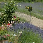 Le Parfum Bleu * Chantemerle-lès-Grignan