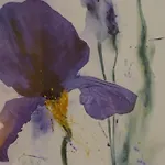 Le Parfum Bleu Bed and breakfast *