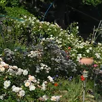 Bed and breakfast Le Parfum Bleu