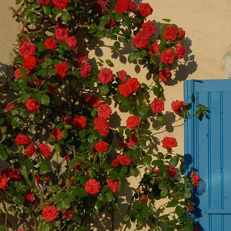 Le Parfum Bleu