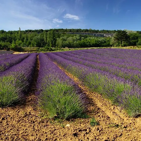 Le Parfum Bleu *