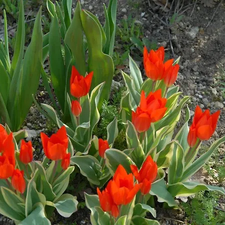 Le Parfum Bleu Chantemerle-lès-Grignan