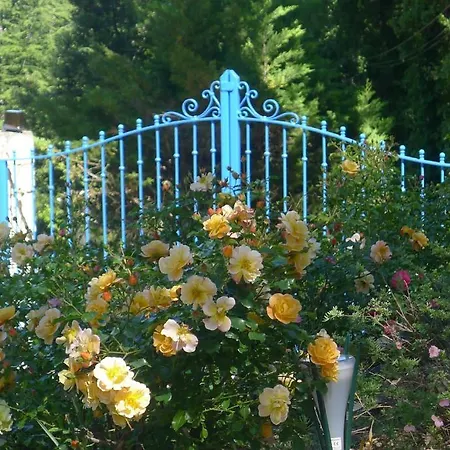 Le Parfum Bleu *