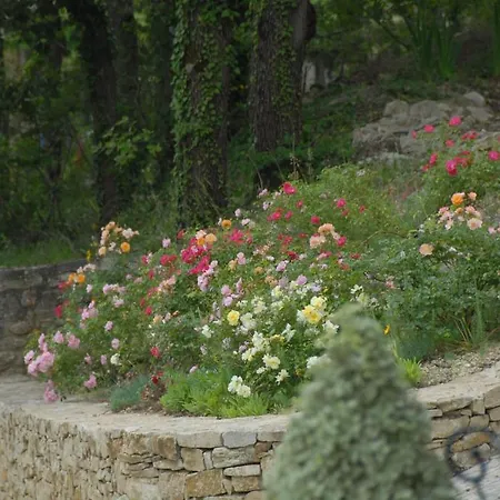 Le Parfum Bleu * Chantemerle-lès-Grignan