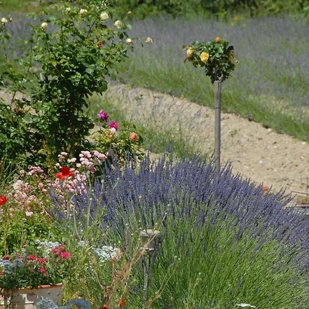 Le Parfum Bleu * Chantemerle-lès-Grignan