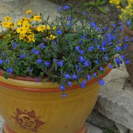 Le Parfum Bleu