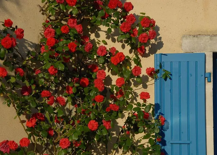 Le Parfum Bleu