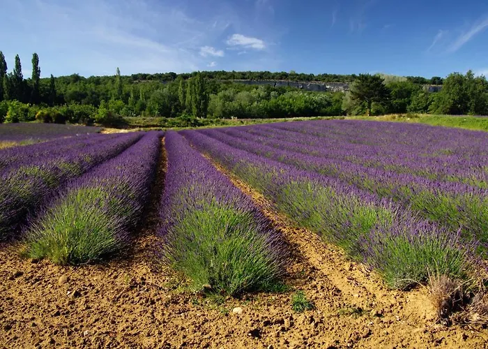 Le Parfum Bleu *