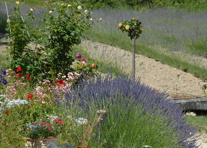 Le Parfum Bleu * Chantemerle-lès-Grignan