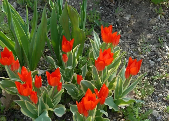 Le Parfum Bleu Chantemerle-lès-Grignan